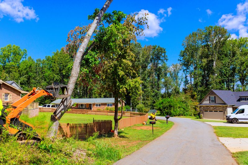 Site Clearing Service