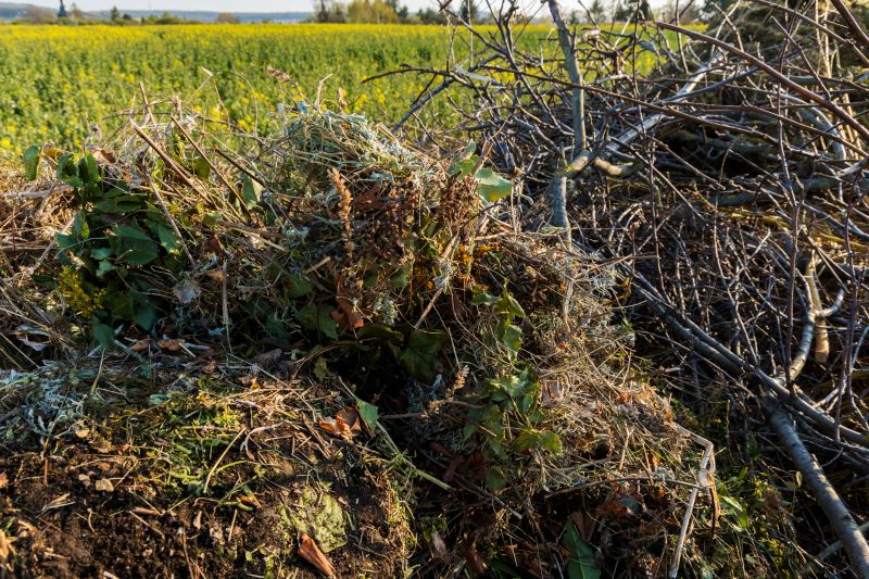 Underbrush Clearing detail